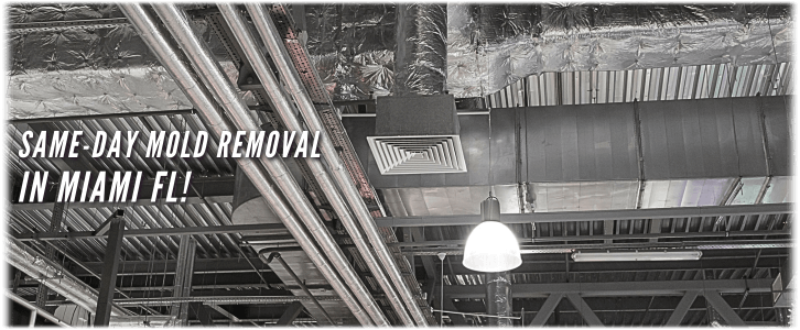 Air Duct Mold Removal in Miami FL