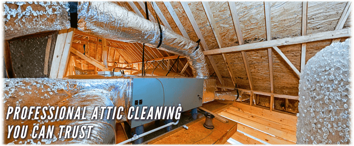 Attic Cleaning Miami FL